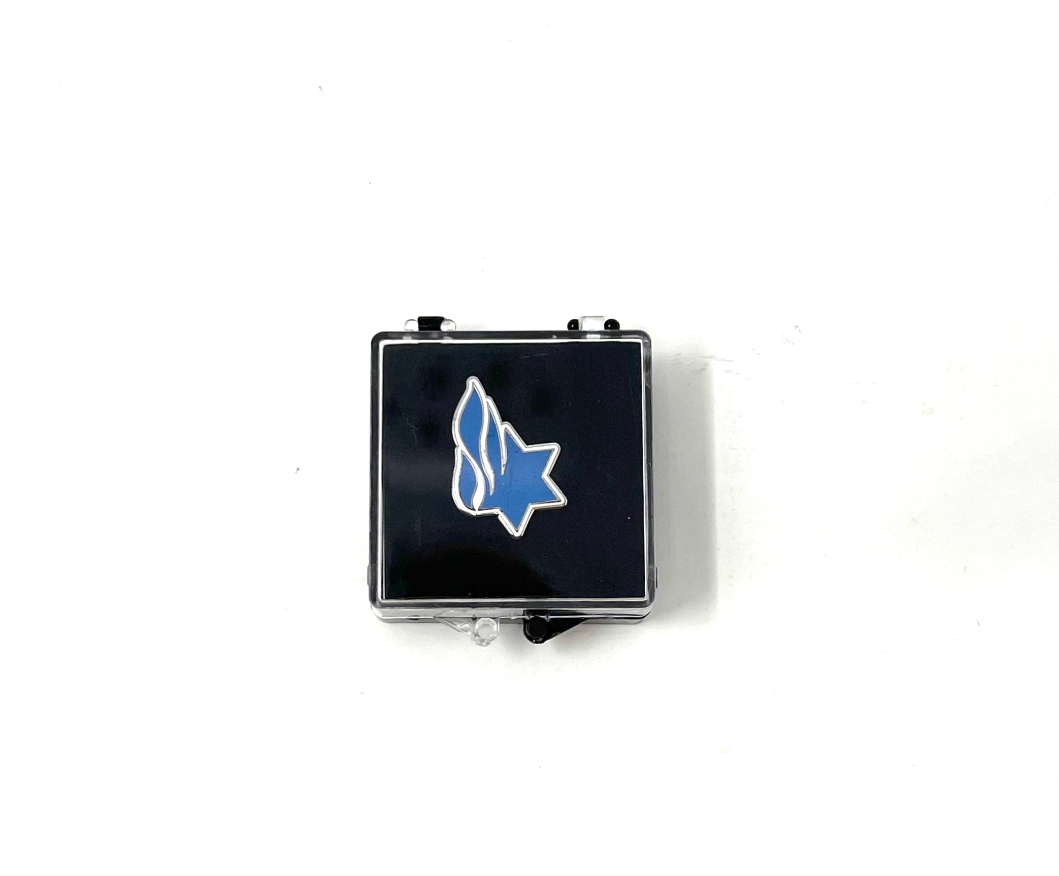 Tampa Bay Lightning Logo Pin