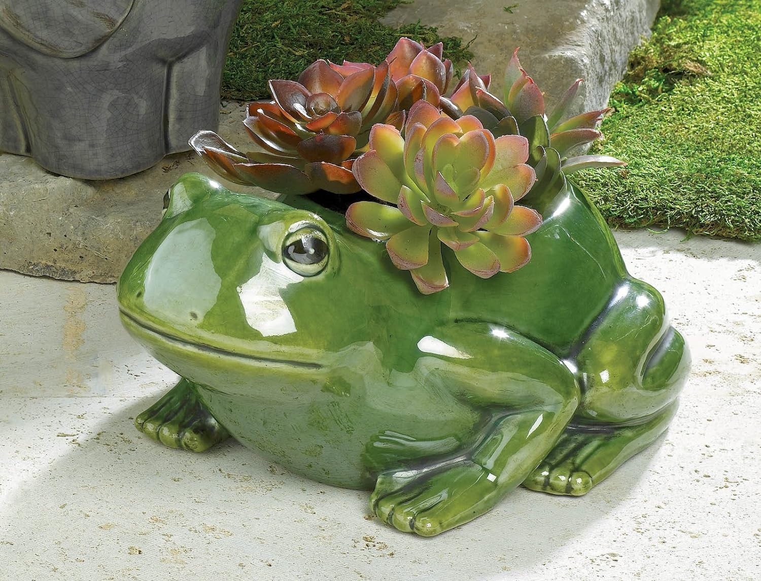 Grasslands Road Frog Planter