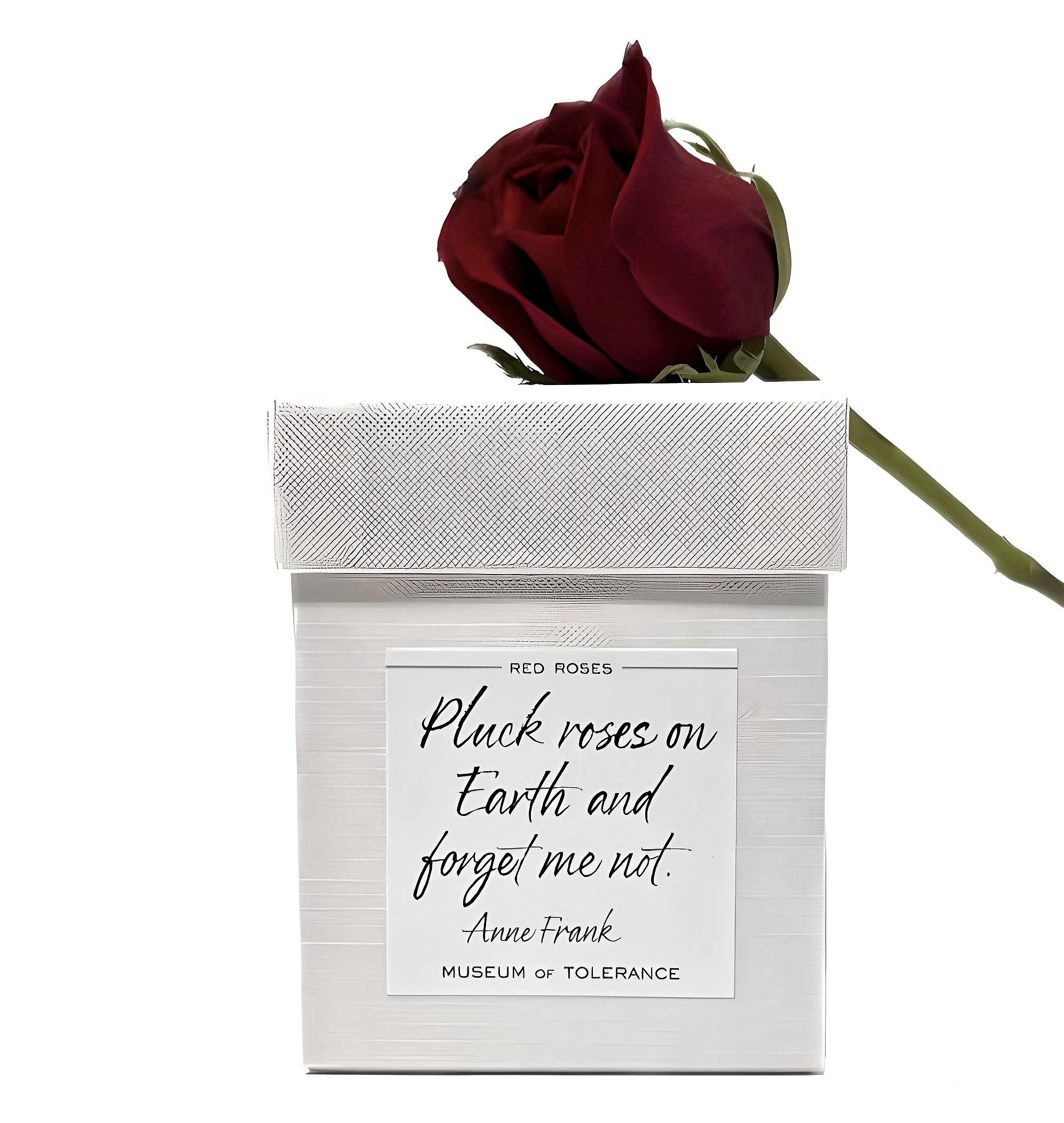 Anne Frank "Pluck Roses" Candle